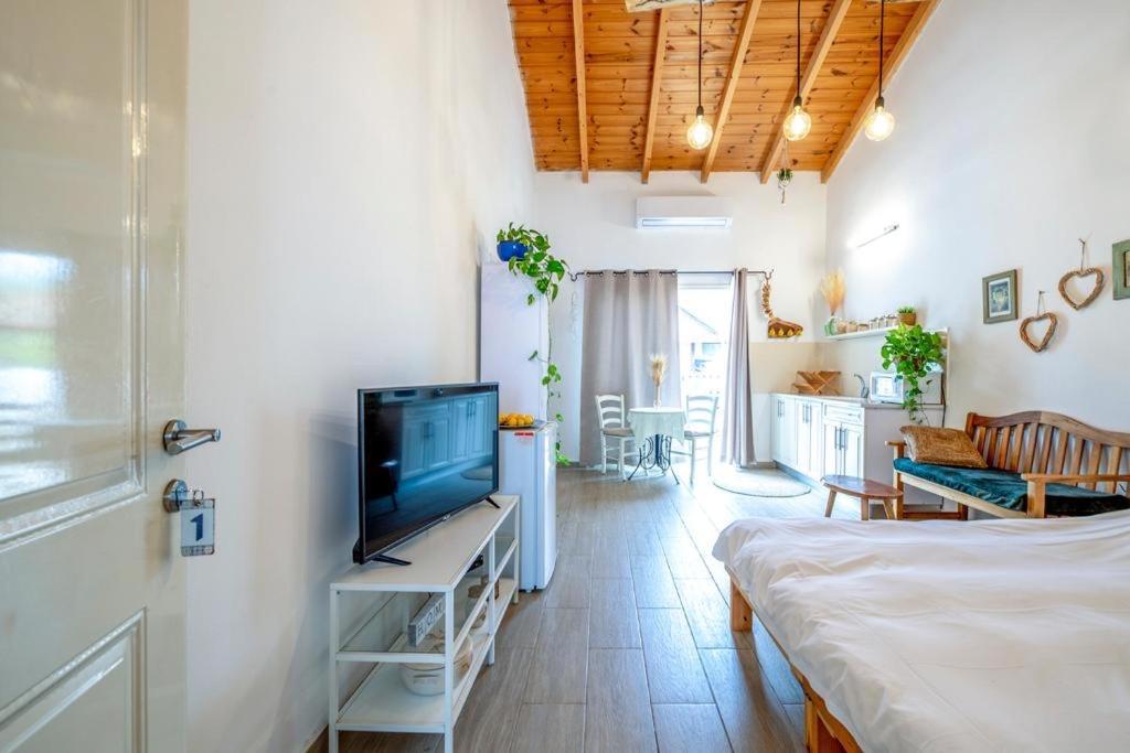 Villa רז אירוח ברמה à Qaşrīn Extérieur photo